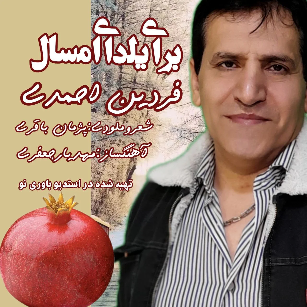 فردین احمدی برای یلدای امسال