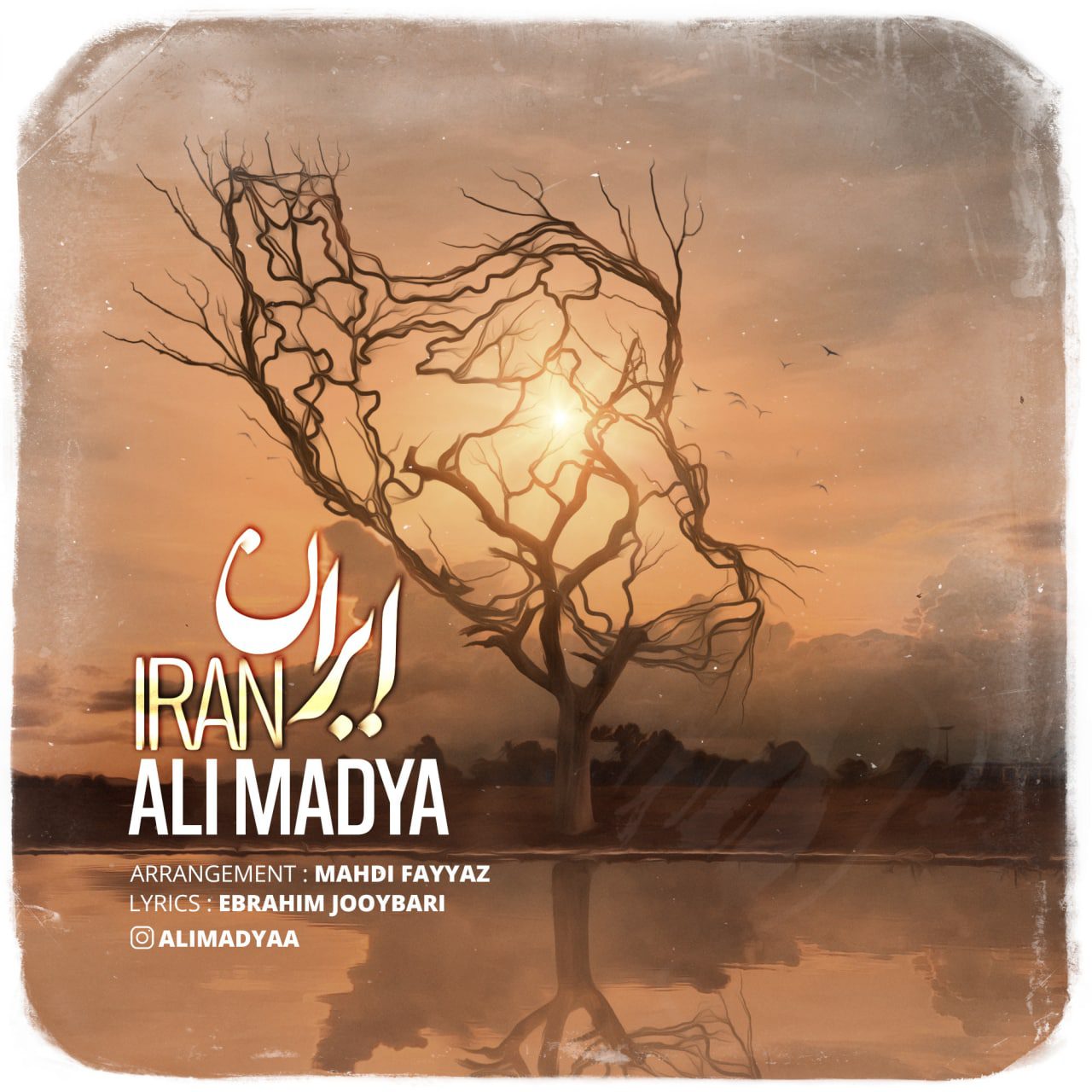 علی مادیا ایران