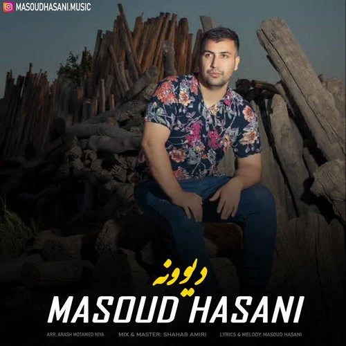 دانلود آهنگ مسعود حسنی دیوونه | کیفیت 320 MP3
