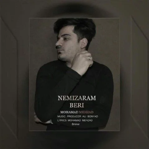 محمد مهزاد نمیزارم بری
