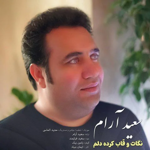 دانلود آهنگ نگات و قاب کرده دلم سعید آرام سعید آرام نگات و قاب کرده دلم