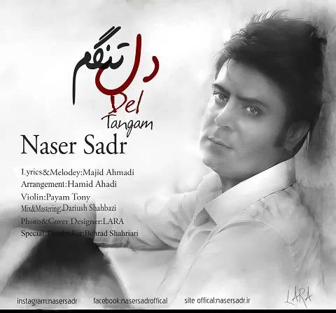 ناصر صدر دلتنگم