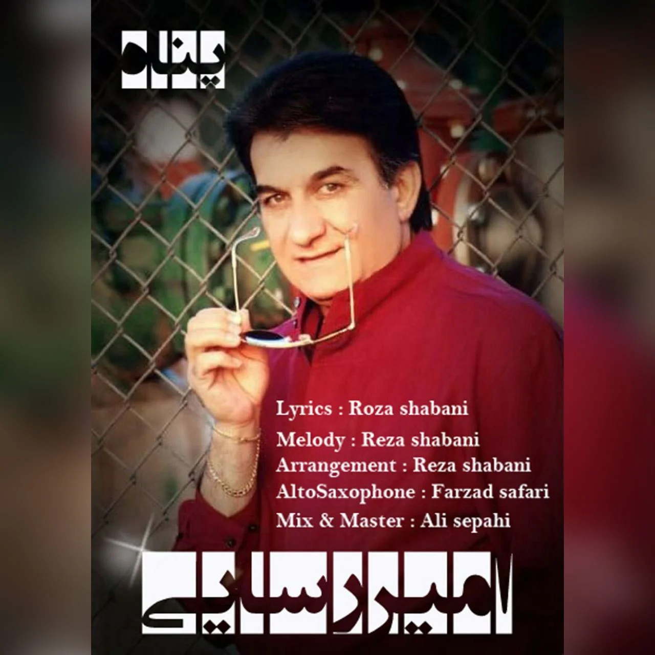 امیر رسایی پناه