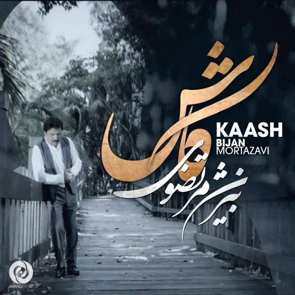 بیژن مرتضوی کاش