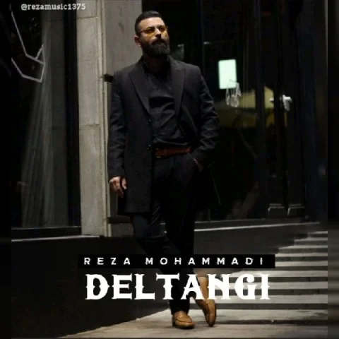 رضا محمدی دلتنگی