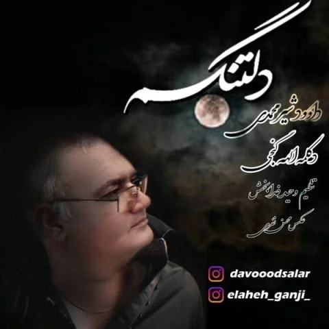 داود شیر محمدی دلتنگم