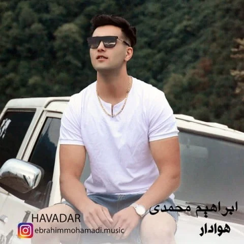 ابراهیم محمدی هوادار
