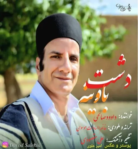 دانلود آهنگ داوود صالحی گل باوینه | کیفیت اصلی 320
