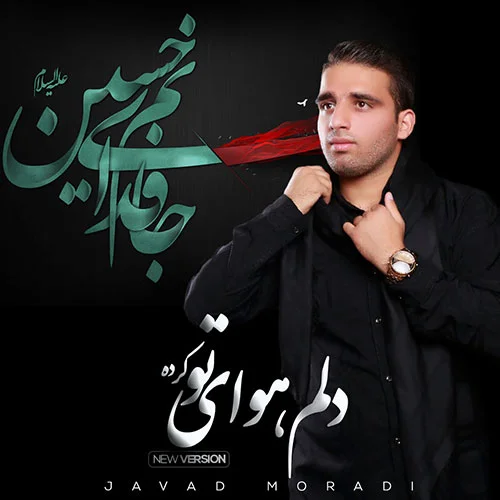 دانلود آهنگ جواد مرادی دلم هوای تو کرده (ورژن جدید) | کیفیت اصلی 320