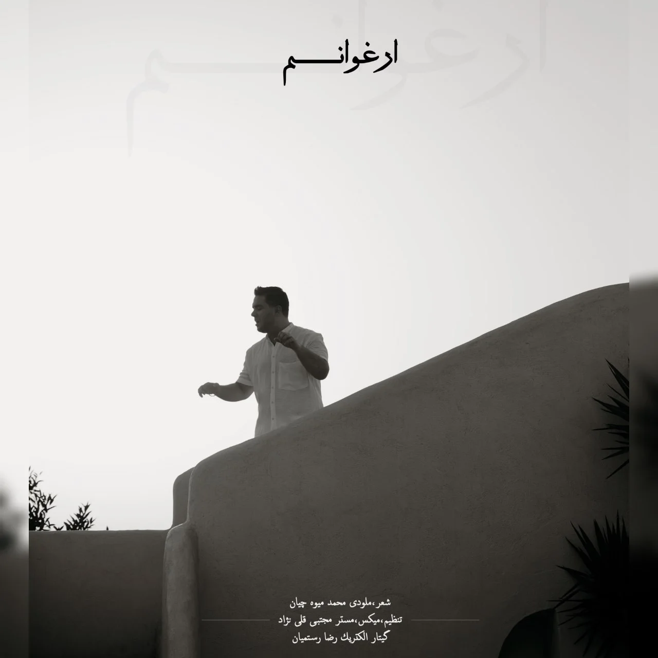 محمد میوه چیان ارغوانم