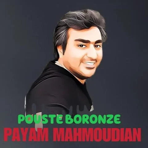 دانلود آهنگ پیام محمودیان پوست برنزه | کیفیت اصلی 320
