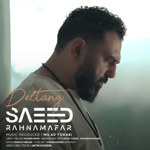 دانلود آهنگ سعید رهنمافر دلتنگ سعید رهنمافر دلتنگ