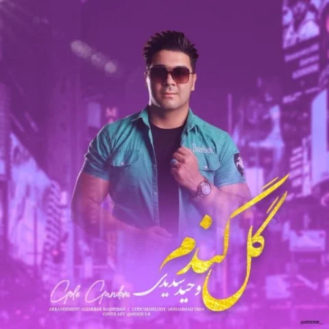 دانلود آهنگ وحید سدیدی بنام گل گندم وحید سدیدی گل گندم