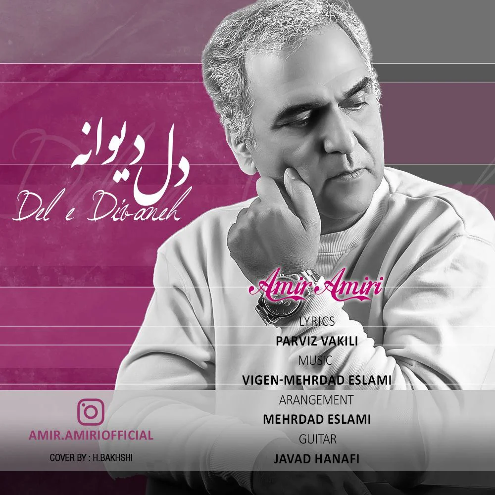 امیر امیری دل دیوانه