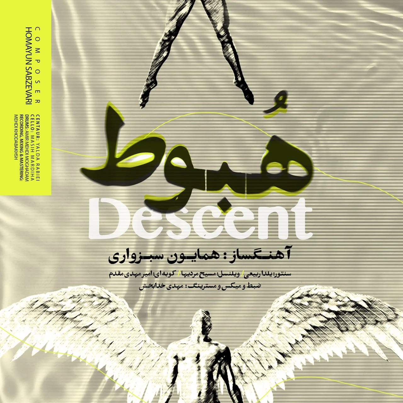 همایون سبزواری هبوط