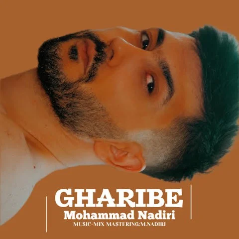 دانلود آهنگ محمد ندیری بنام غریبه محمد ندیری غریبه