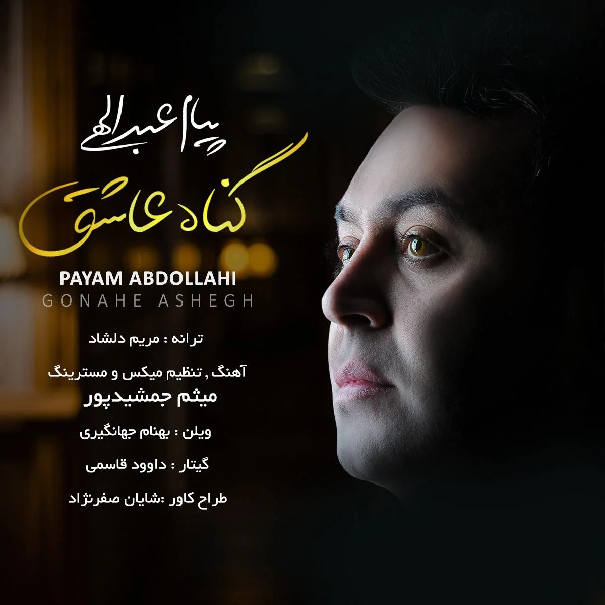 پیام عبداللهی گناه عاشق