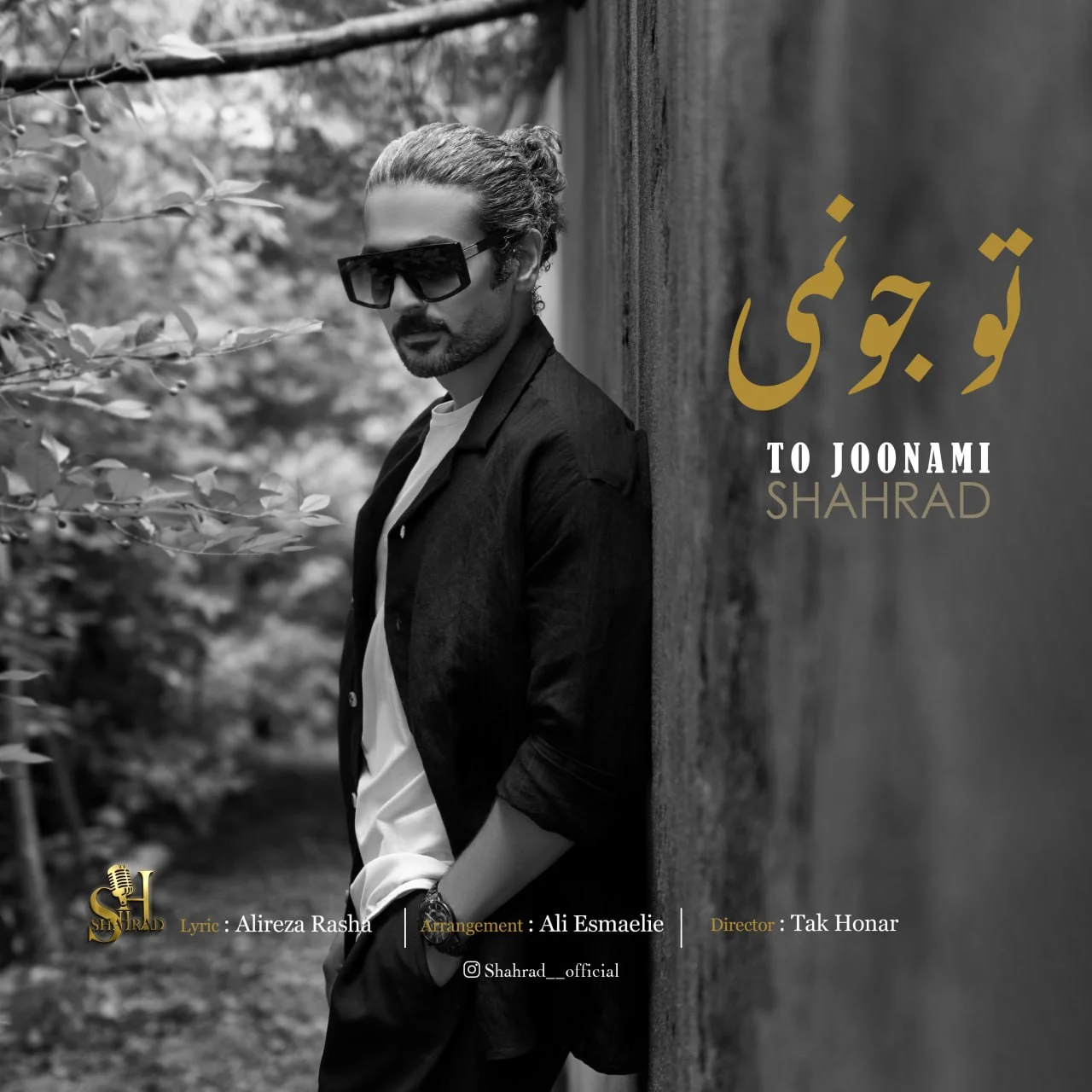 دانلود آهنگ شهراد تو جونمی | کیفیت اصلی 320