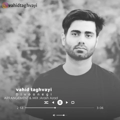 دانلود آهنگ وحید تقوایی بنام دیوونگی وحید تقوایی دیوونگی