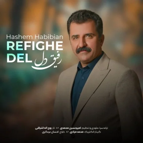 دانلود آهنگ هاشم حبیبیان رفیق دل | کیفیت اصلی 320