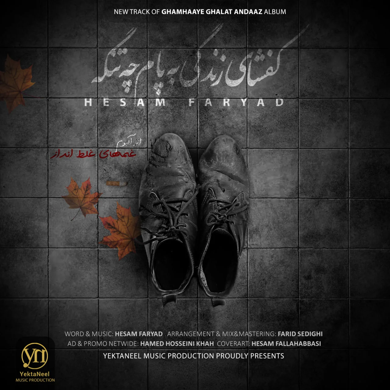 دانلود آهنگ حسام فریاد بنام کفشای زندگی به پام چه تنگه حسام فریاد کفشای زندگی به پام چه تنگه