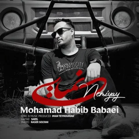 دانلود آهنگ محمد حبیب بابایی بنام نمیای محمد حبیب بابایی نمیای