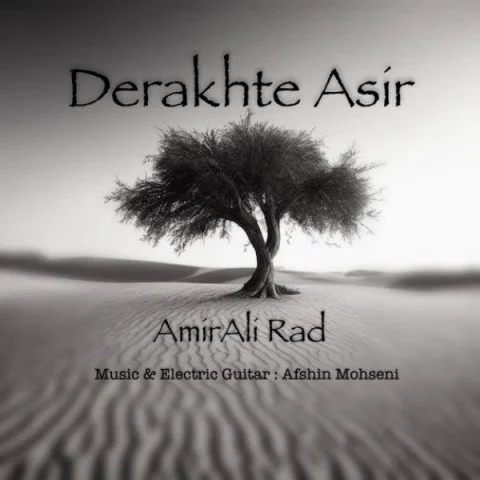 امیرعلی راد درخت اسیر