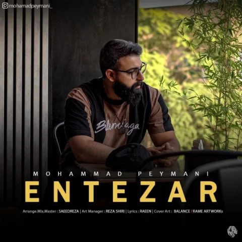 دانلود آهنگ محمد پیمانی بنام انتظار محمد پیمانی انتظار