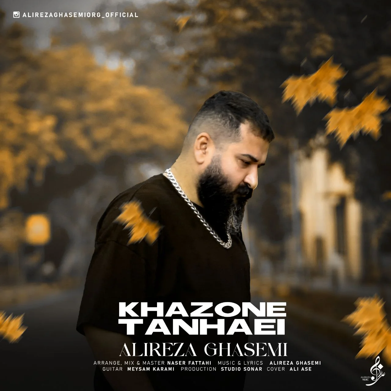 دانلود آهنگ علیرضا قاسمی بنام خزون تنهایی علیرضا قاسمی خزون تنهایی