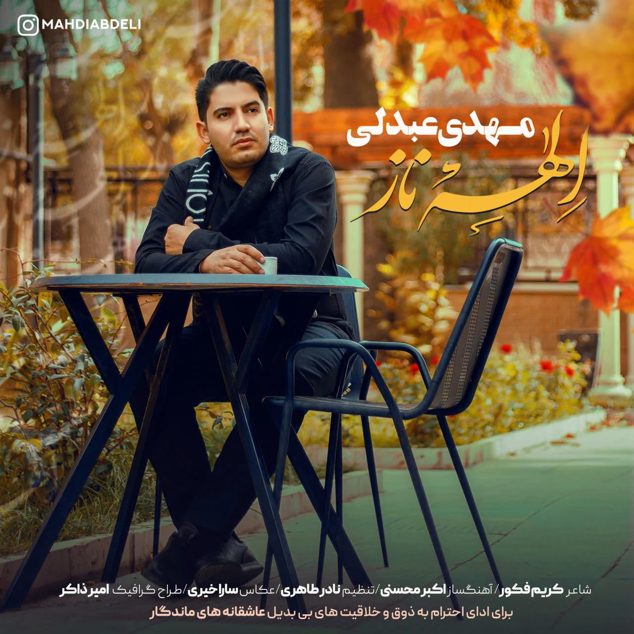 مهدی عبدلی الهه ناز