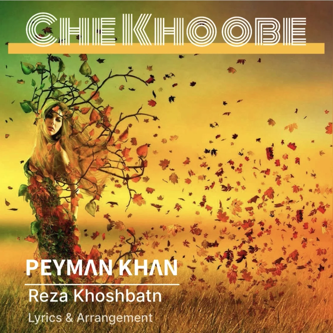 پیمان خان چه خوبه