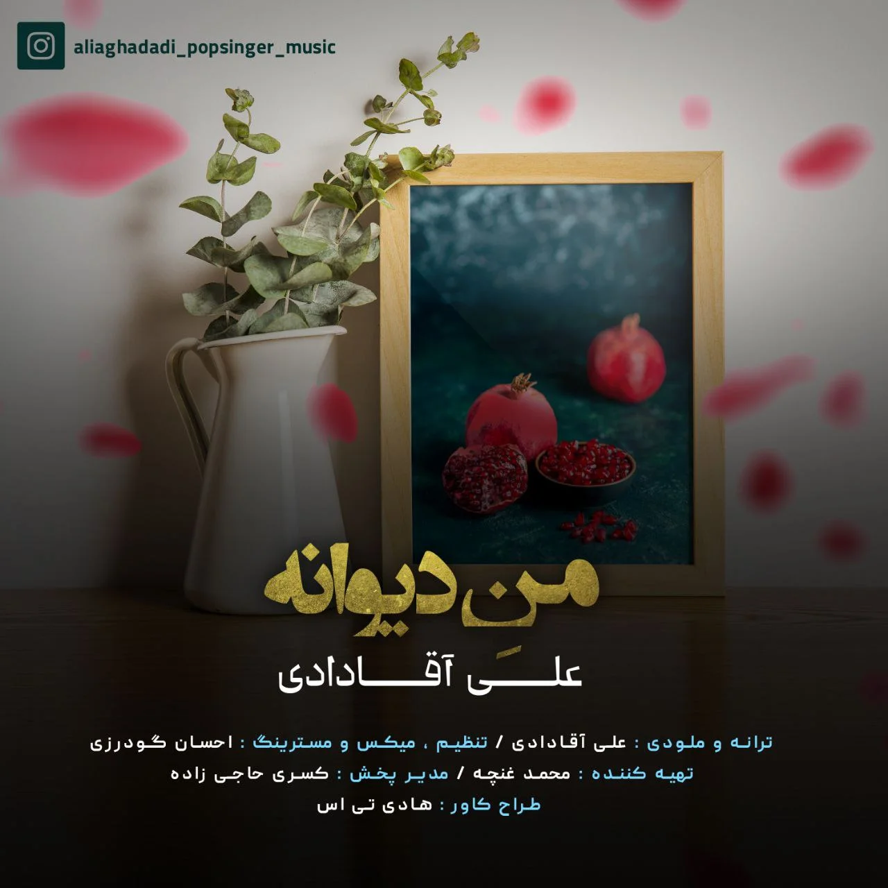 علی آقادادی من دیوانه