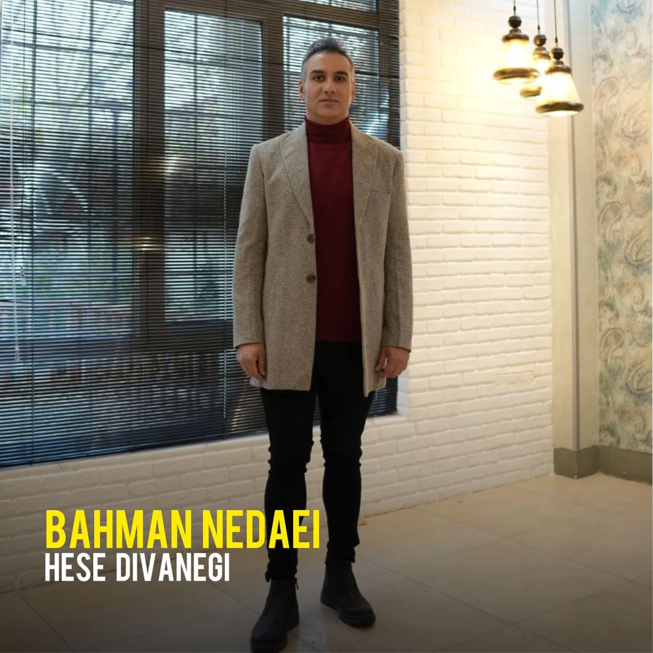 بهمن ندایی حس دیوانگی
