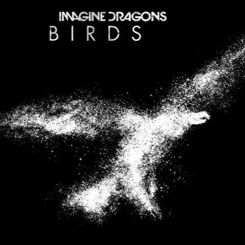 ایمجین درگنز Birds