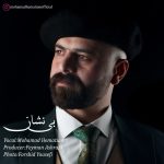 دانلود آهنگ محمد همتیان بی نشان | کیفیت اصلی ۳۲۰