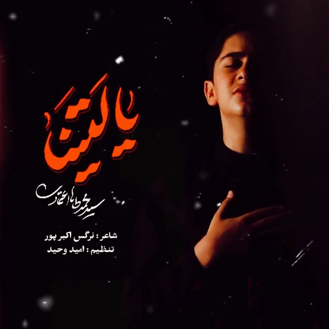 دانلود آهنگ محمدطاها اعتمادی یا لیتنا | کیفیت اصلی 320