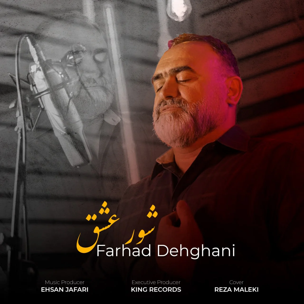 دانلود آهنگ فرهاد دهقانی بنام شور عشق فرهاد دهقانی شور عشق