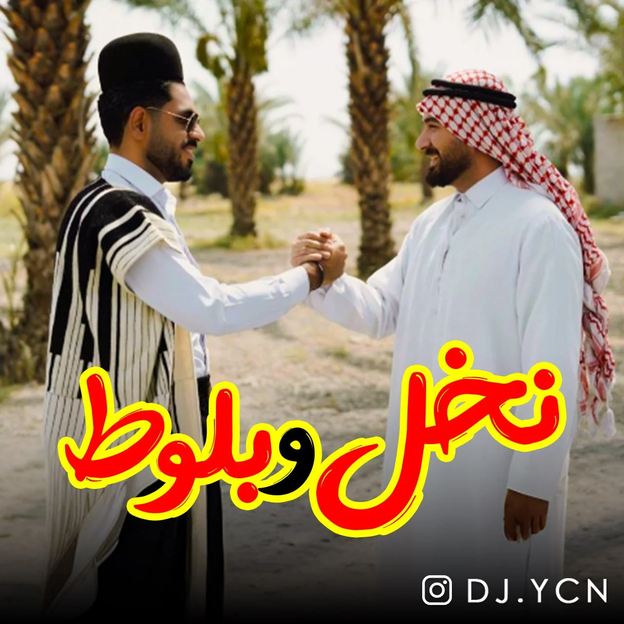 دانلود آهنگ دیجی یاسین نخل و بلوط | کیفیت اصلی 320