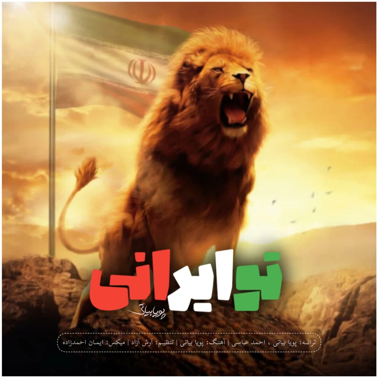 دانلود آهنگ پویا بیاتی تو ایرانی | کیفیت اصلی 320