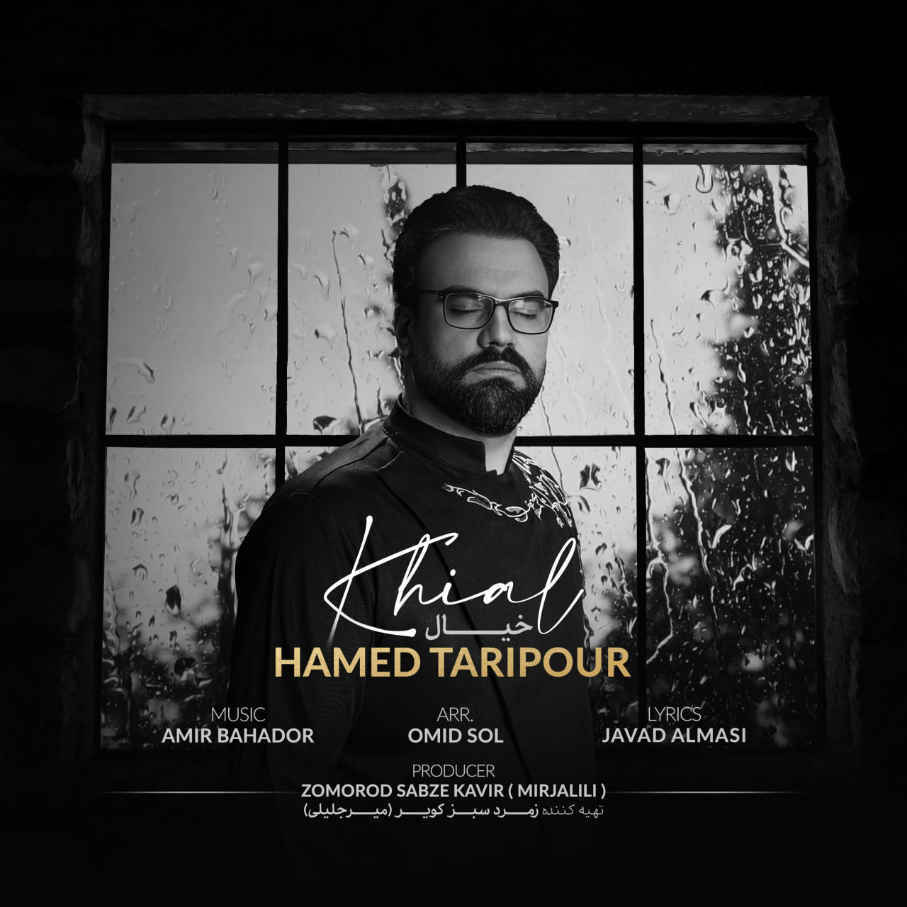 حامد تاری پور خیال